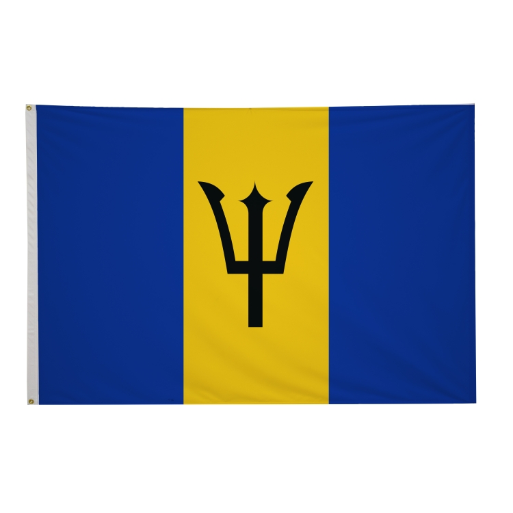 4' x 6' International Flags 263