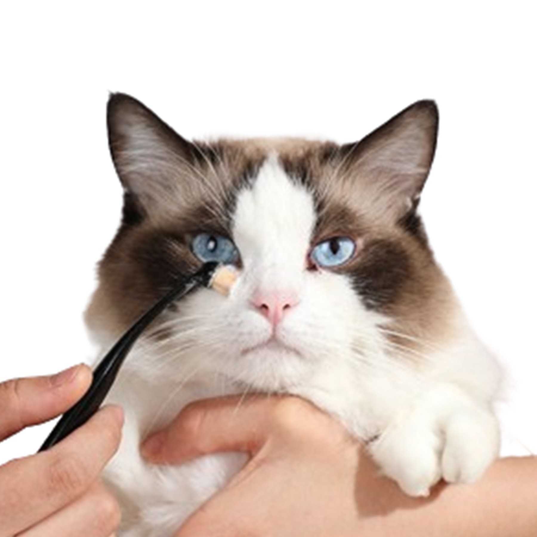 Pet Tear Remover Brush 2