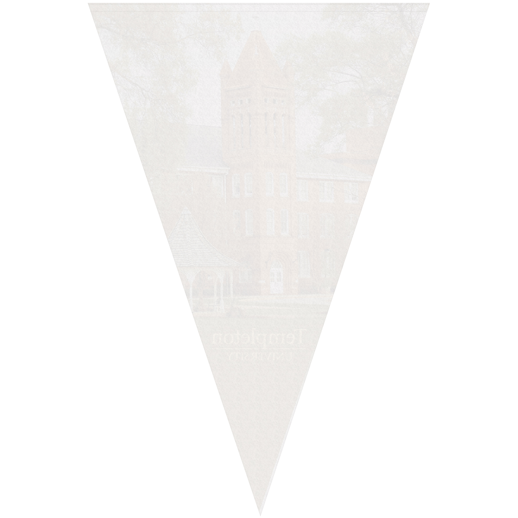 24" x 36" Vertical Triangle Shaped Felt Banner 10