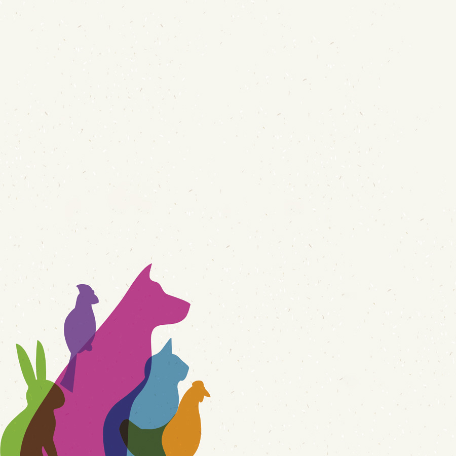 Souvenir® Sticky Note™ 3" x 3" Pad, 50 sheet 51