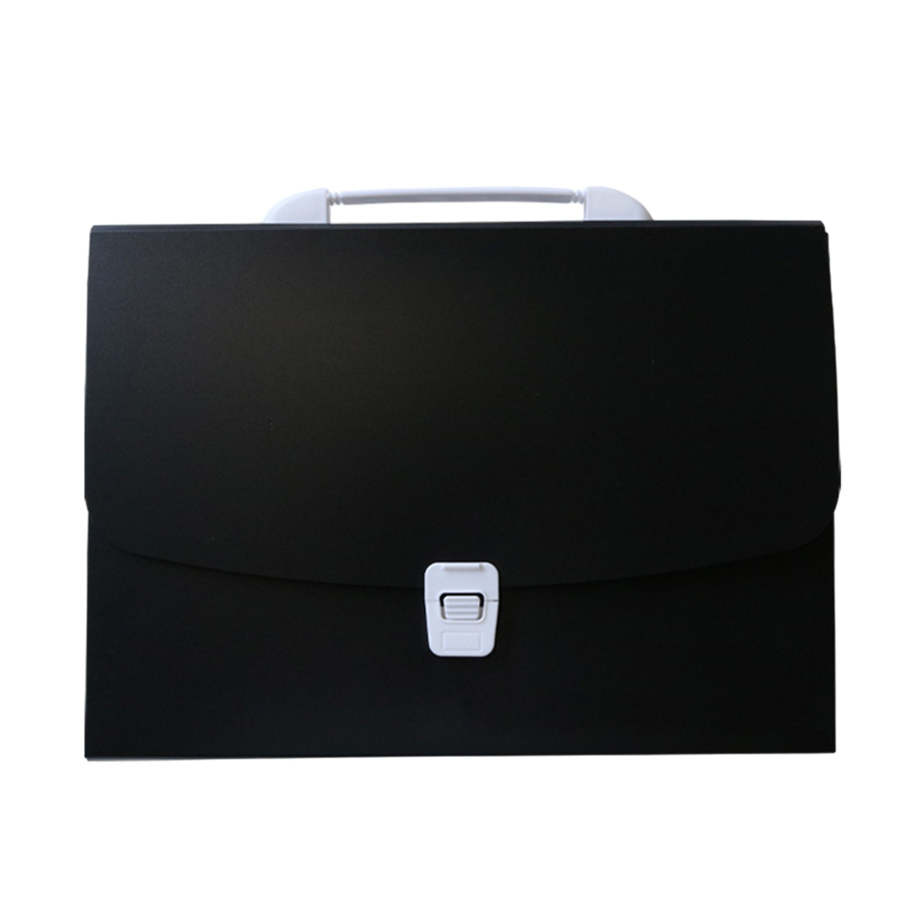 Accordion Folder W/Handle 2