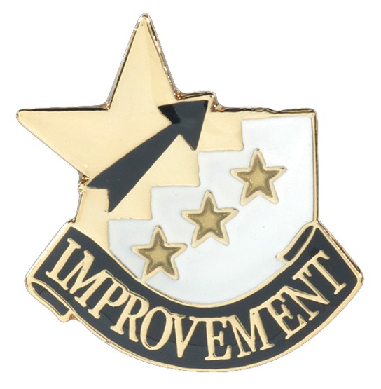 Improvement Academic Achievement Pin 2