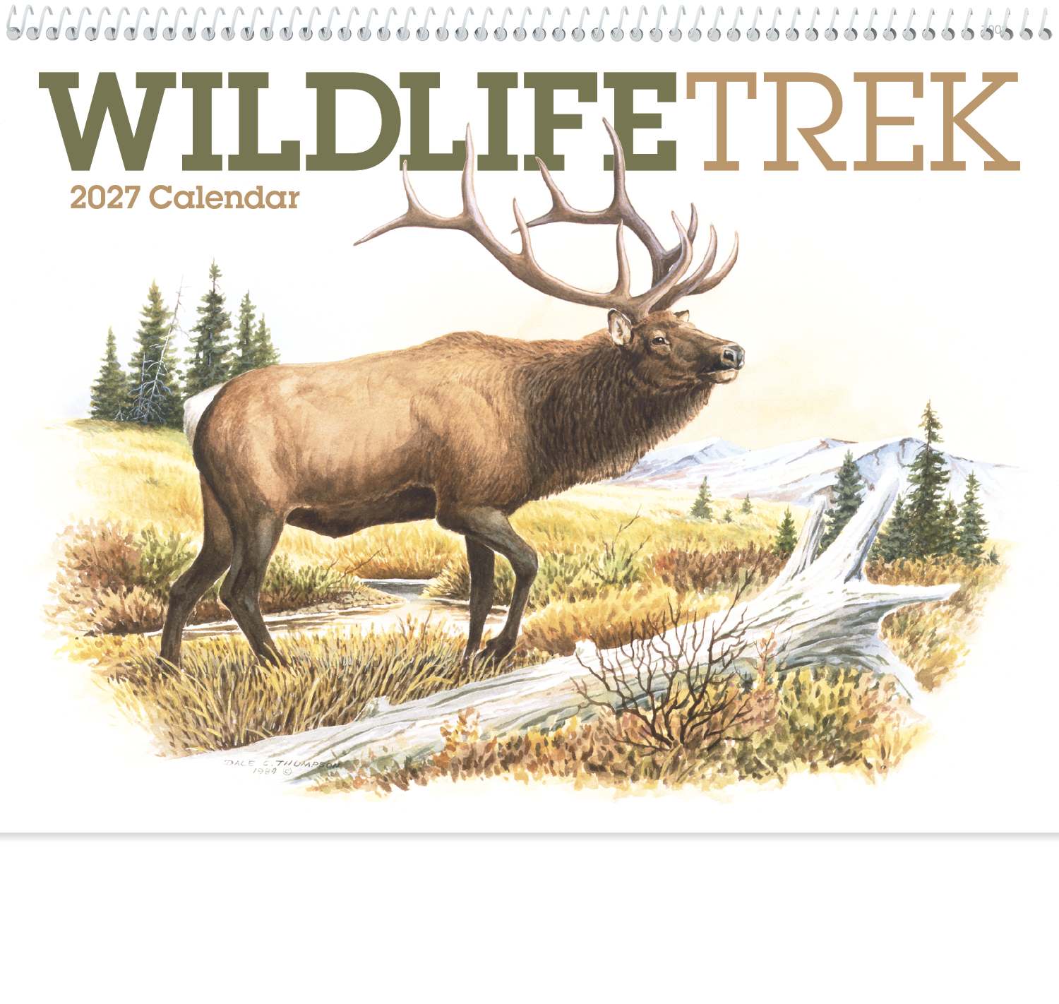 Good Value™ Wildlife Trek - Spiral Calendar 50