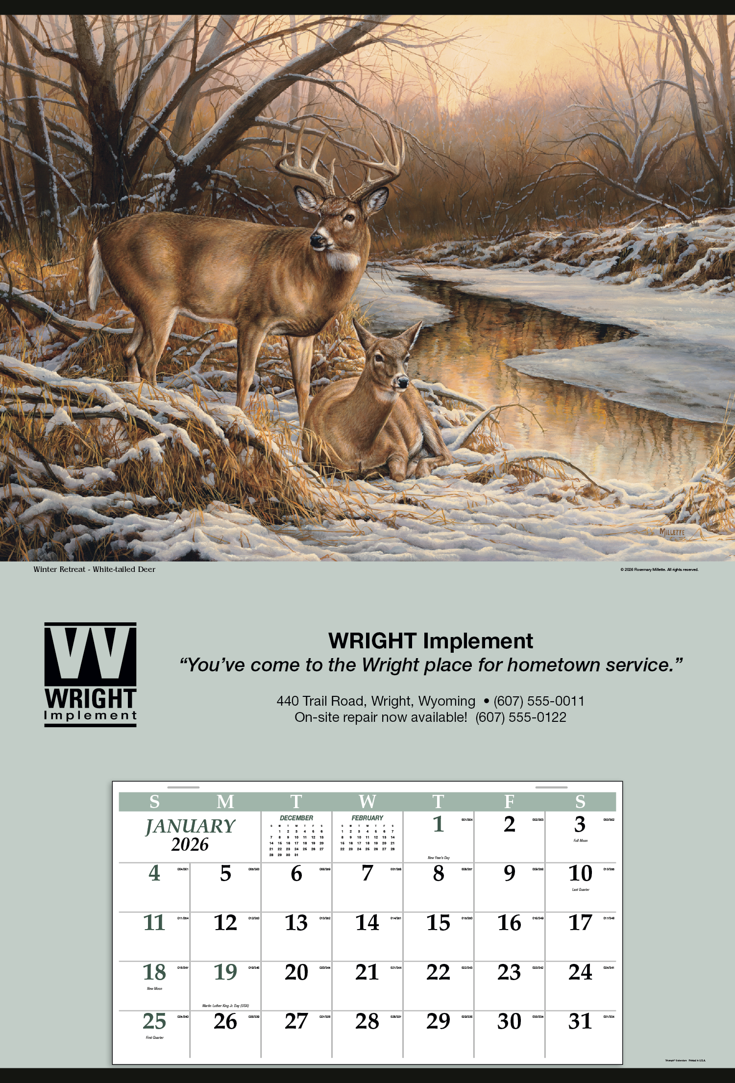Triumph® Calendars Jumbo Hanger (12-Month) Calendar 52