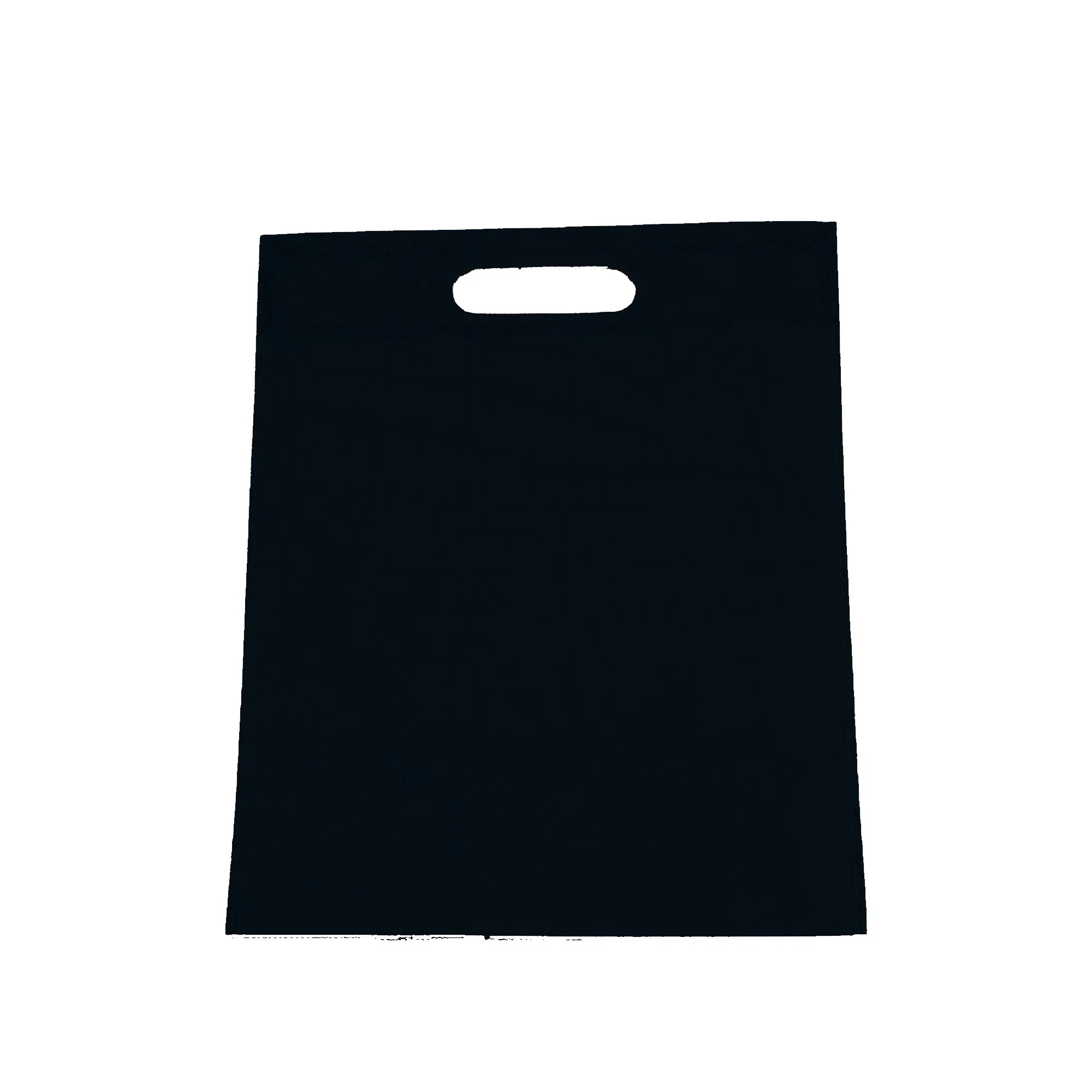Non-Woven Gift Bag with Handle 4