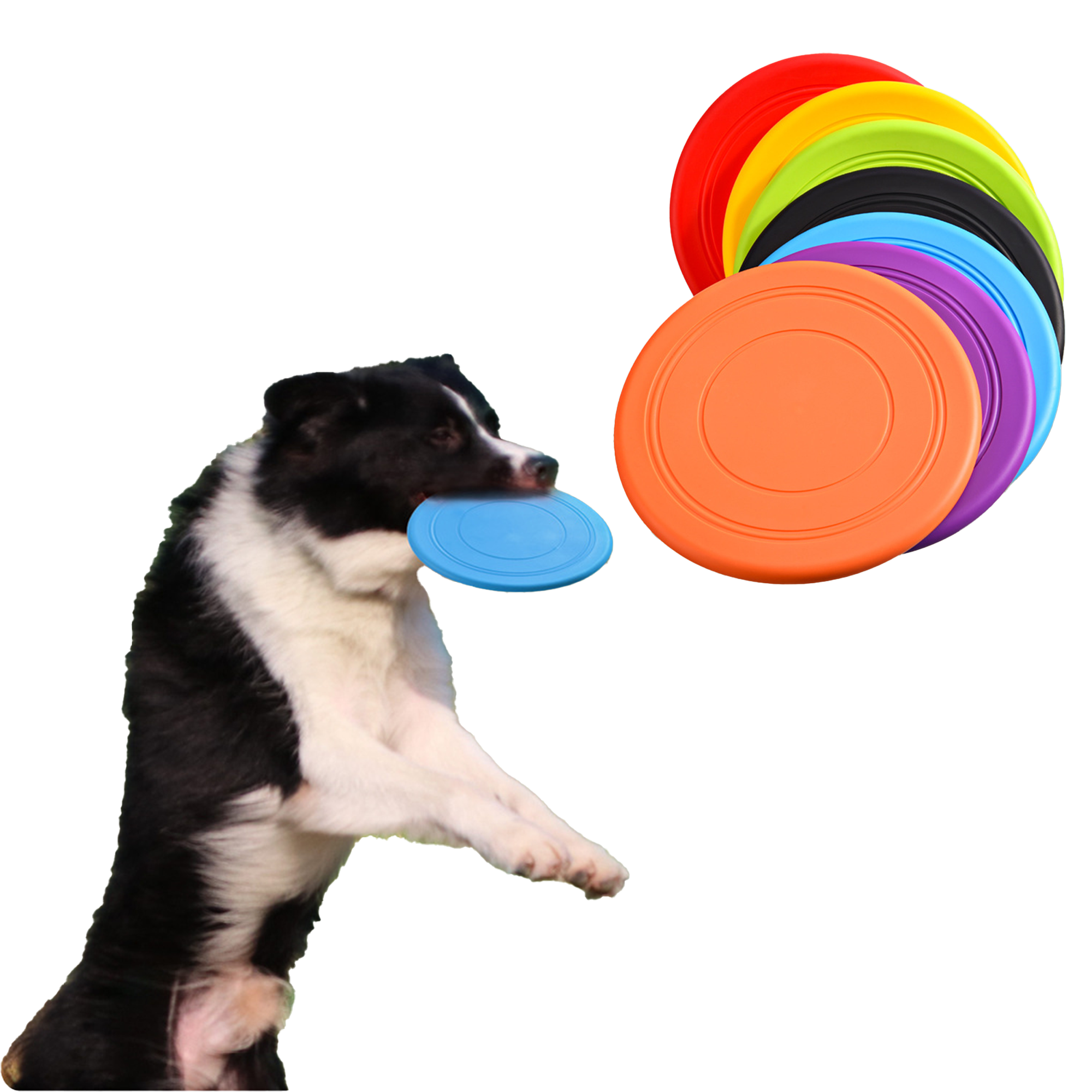 Pet-Safe Flying Disc MOQ50 2