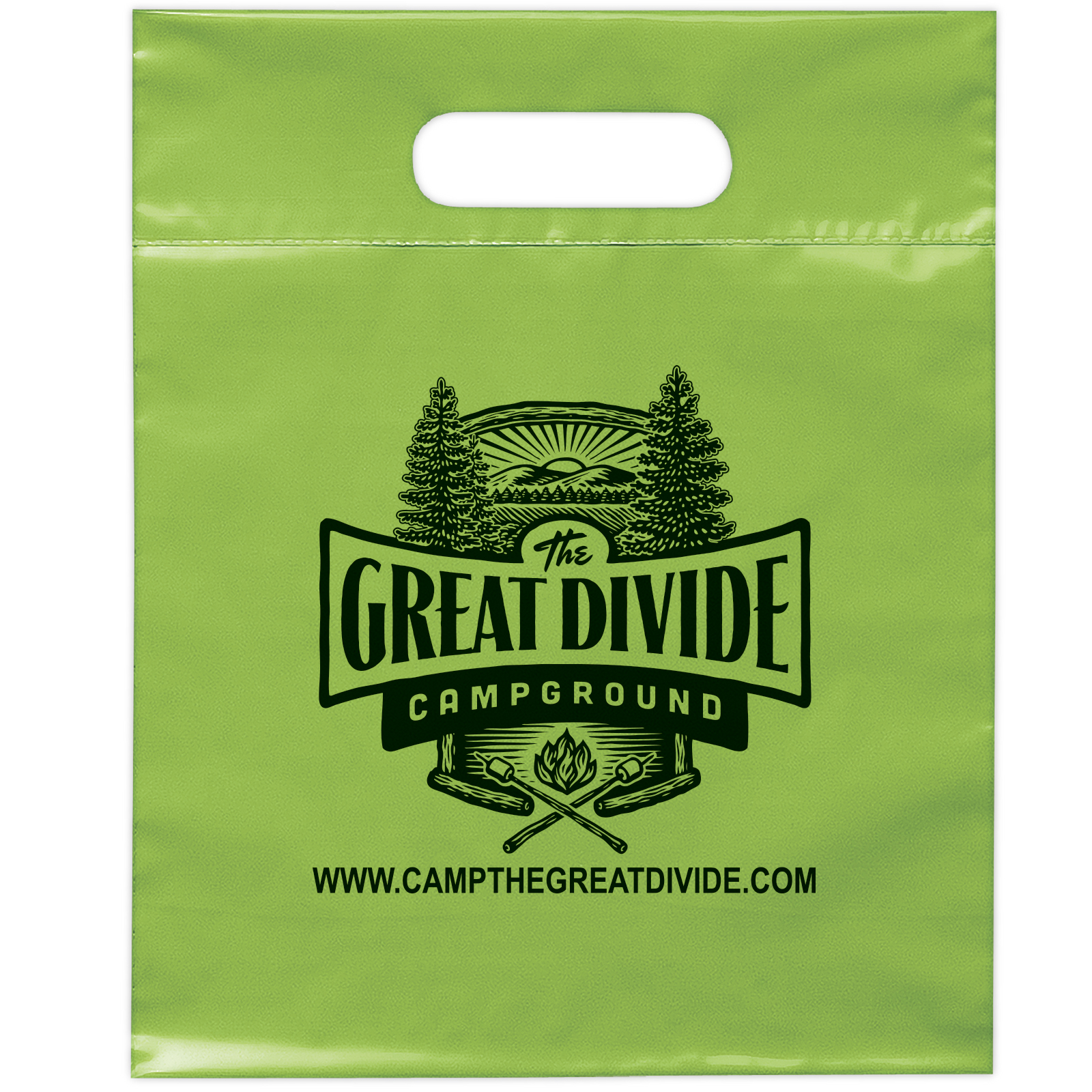 Die Cut Handle Bag - 9 1/2W x 12H - Flexo Ink Print 5