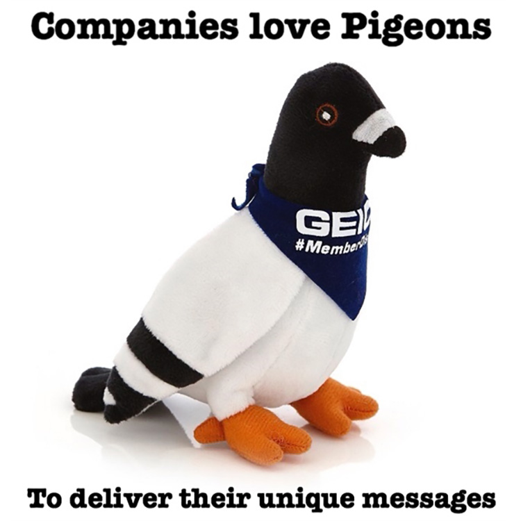 Pigeon plush toy 2