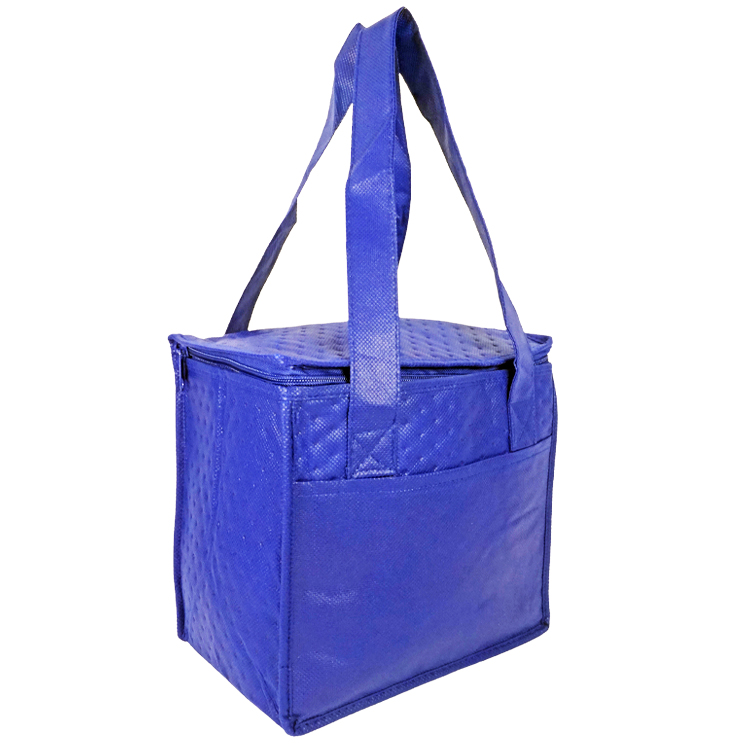 Denali Insulated Convenient Cooler 7