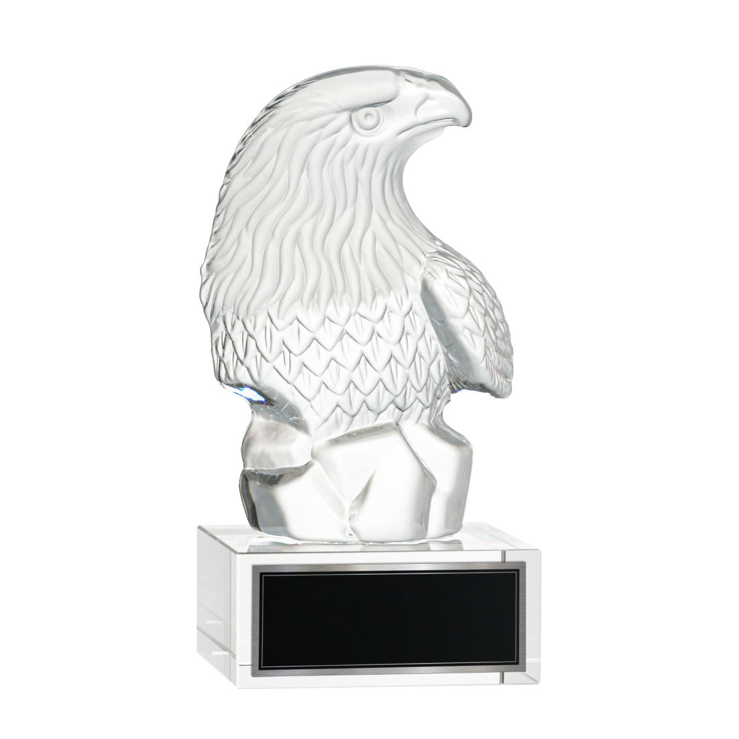 Fredricton Eagle Award on Hancock 2
