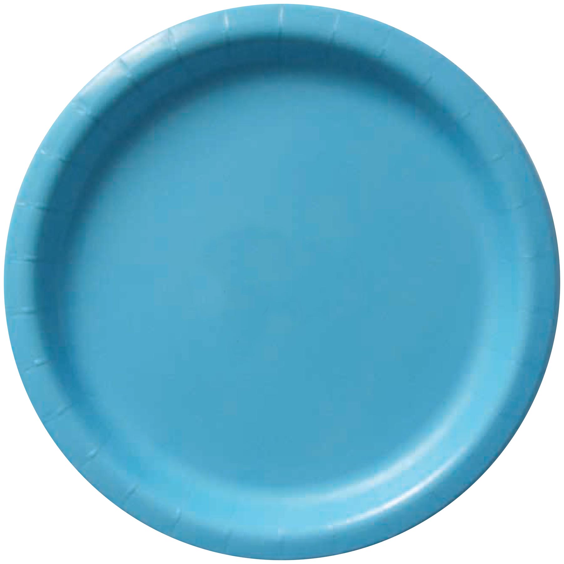 9" Colorware Paper Plate 4