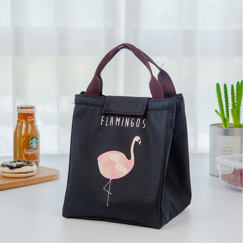 Spacious Insulated Lunch Tote Bag