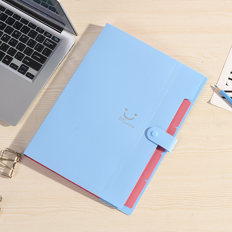 Colored Expanding File Folder 3
