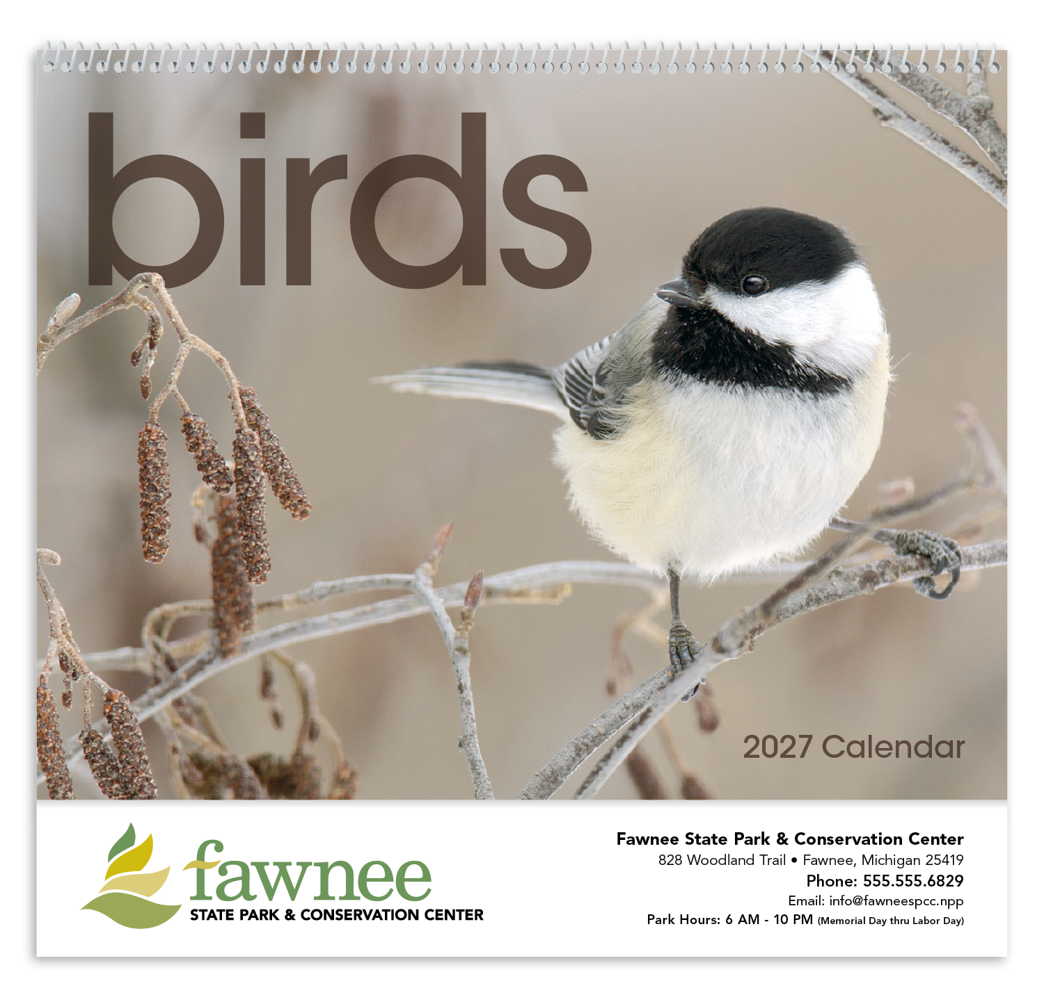 Triumph® Calendars Birds Calendar 66