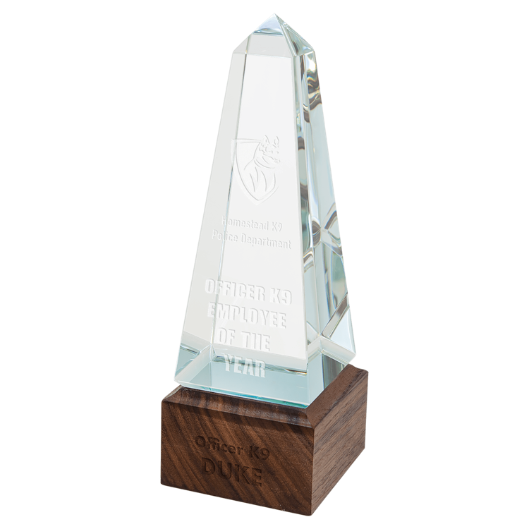 Sierra Obelisk Award 1