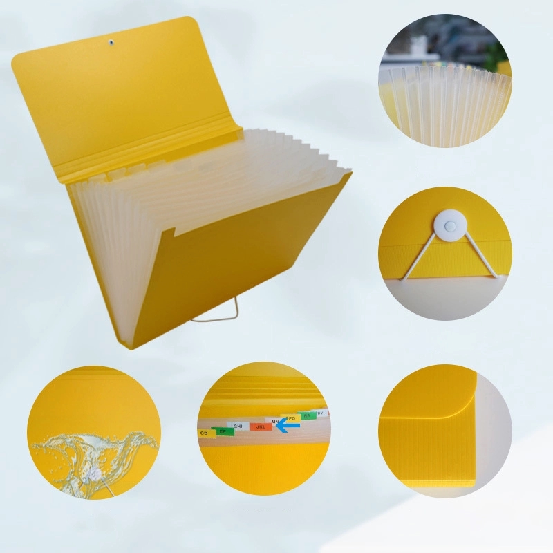PP Plastic 13-Pocket Expanding A4-Size Portfolio File Folder 11