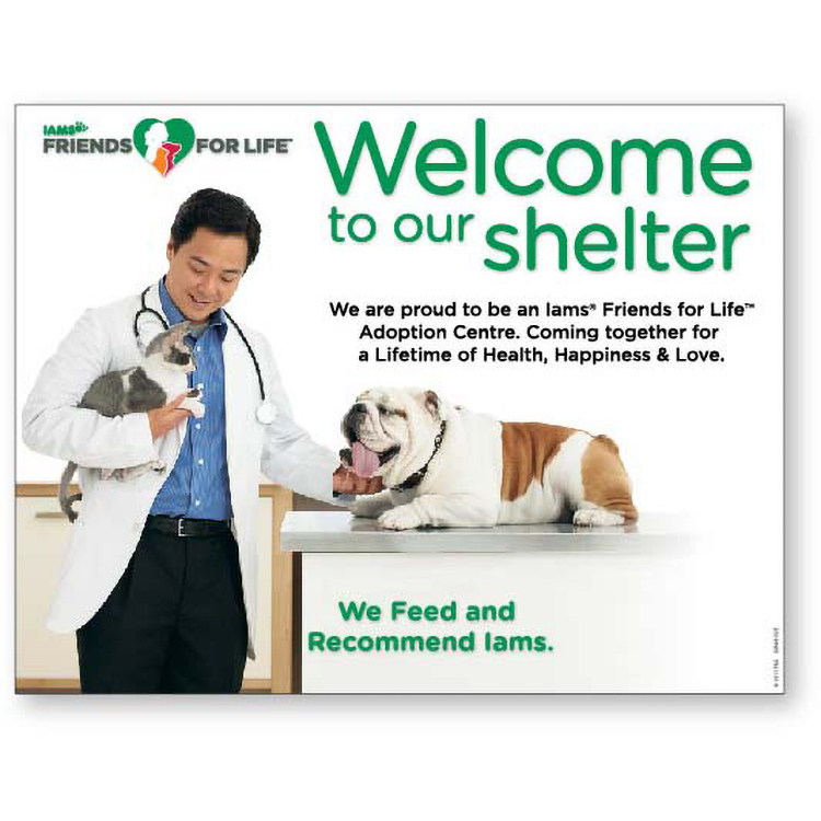 .008 White Double-sided Decals / Static Cling (24 to 36 sq/in) four colour p