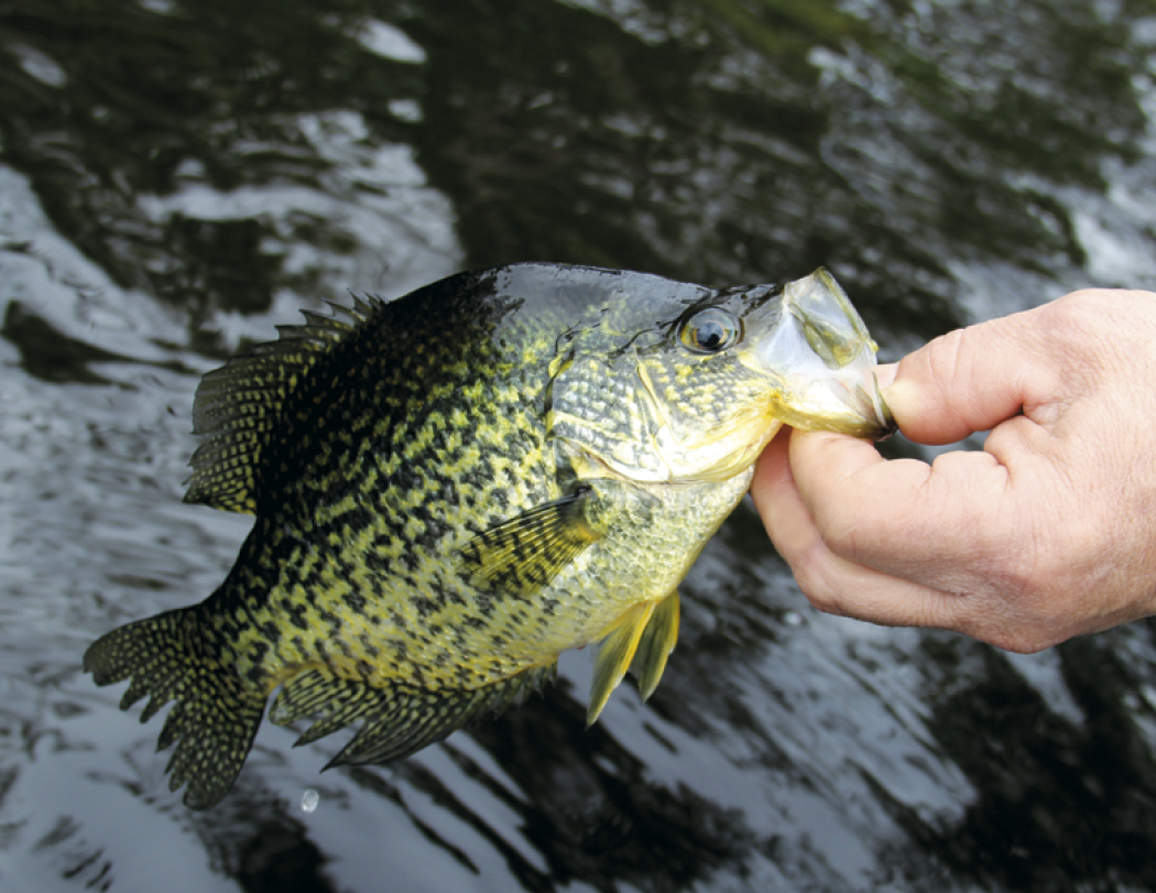HotLine® Products Fishing Guide Appointment Calendar - Stapled 30