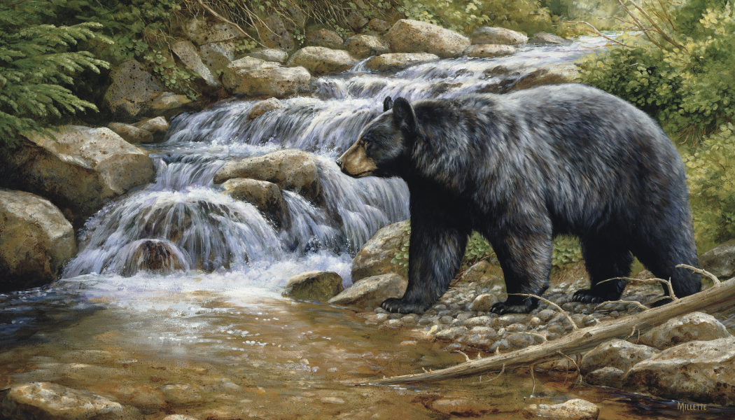 Triumph® Calendars Wildlife Art Calendar 5