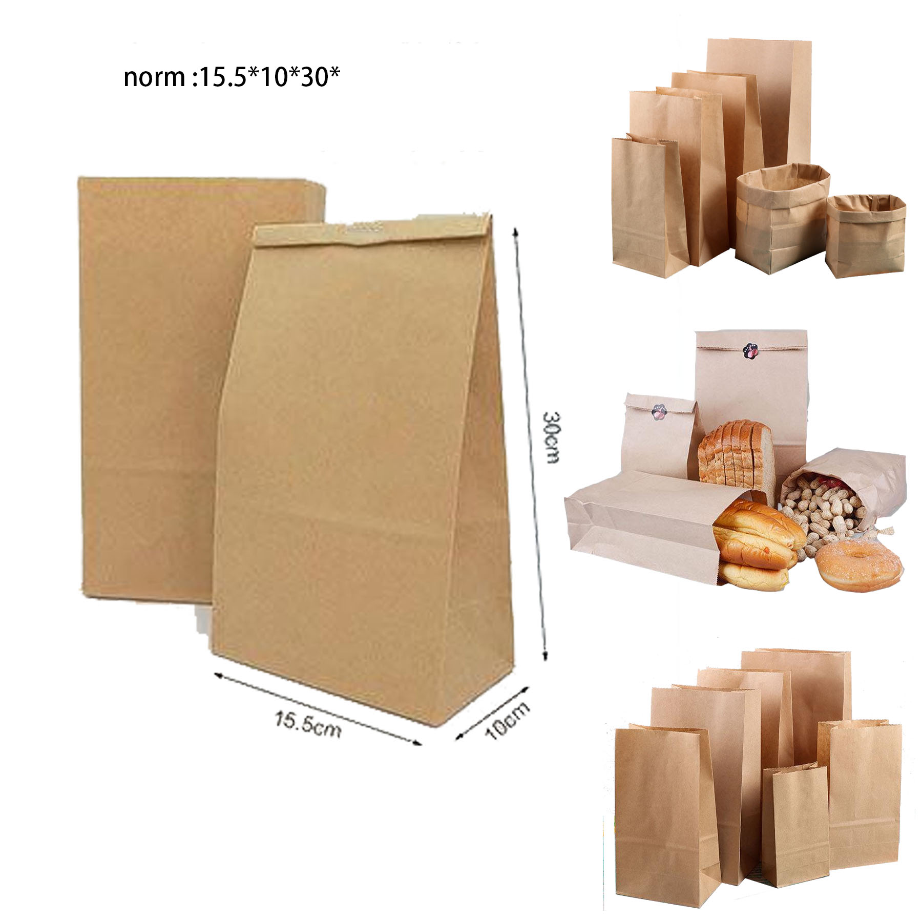 Coated Kraft Paper Bag 2