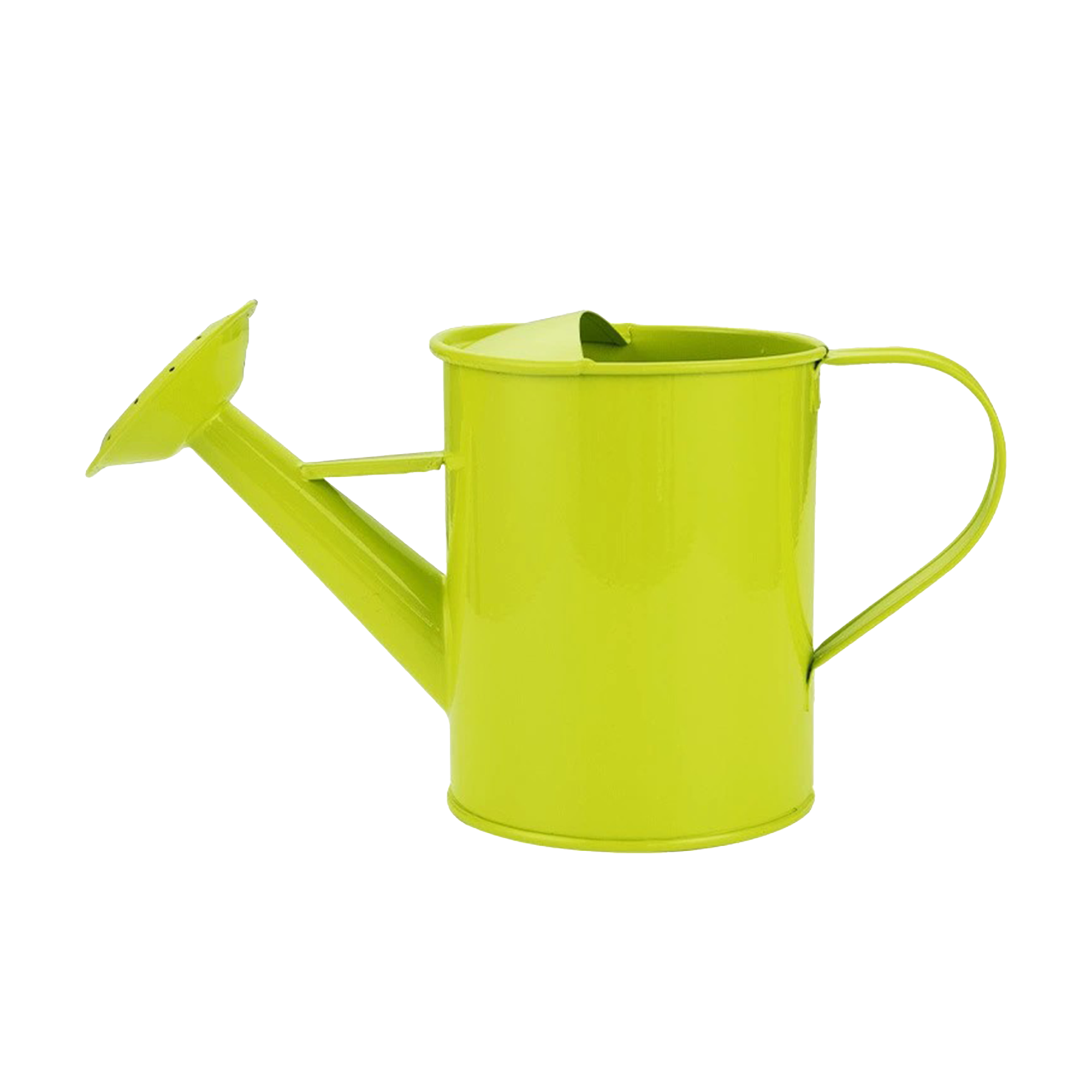 Durable Iron Gardening Watering Can 4