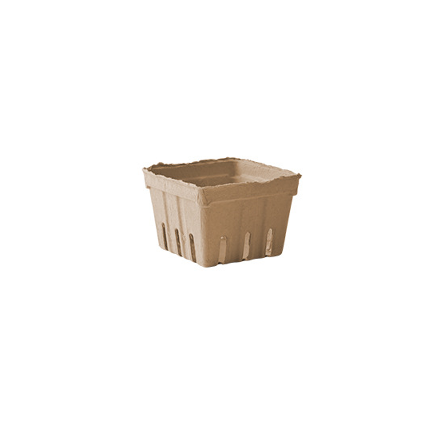 Bio-Degradable Fruit Basket 11