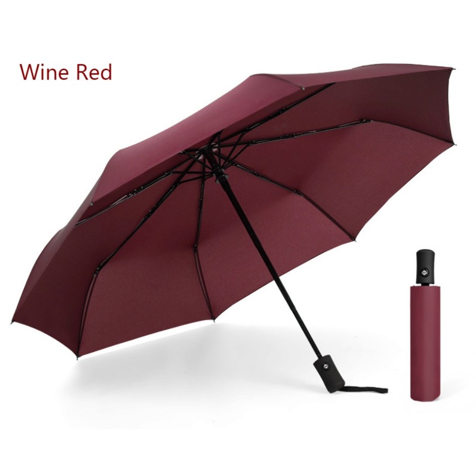 8 Ribs Automatic Umbrella 9