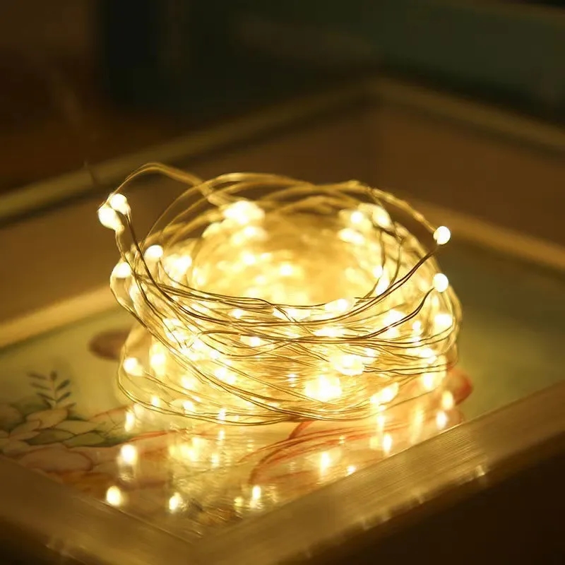 LED Battery Operated String  Copper Wire Light for Outdoor 7