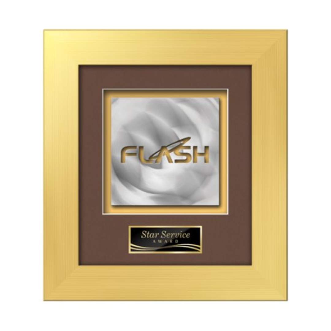 Premier Aquashape™ Award - Gold 9