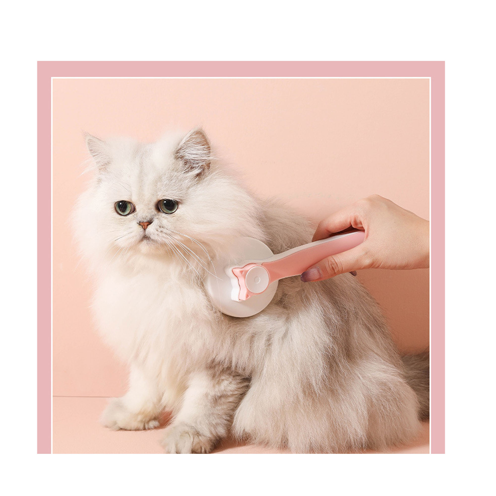 Plastic Adorable And Efficient Pet Grooming Brush 4