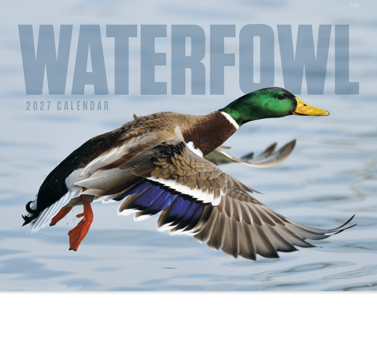 Good Value™ Waterfowl - Stapled Calendar 39