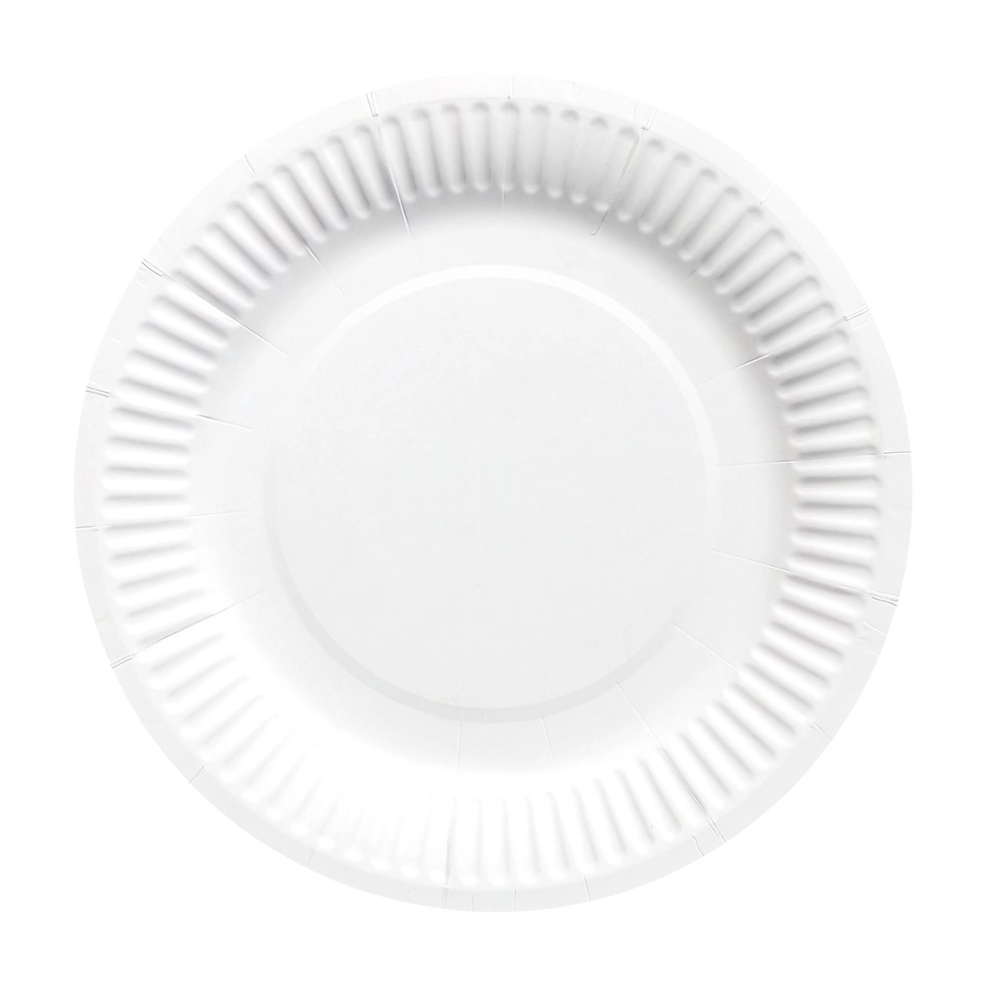 Nine Inch Party Paper Plate Food Safe Disposable 5