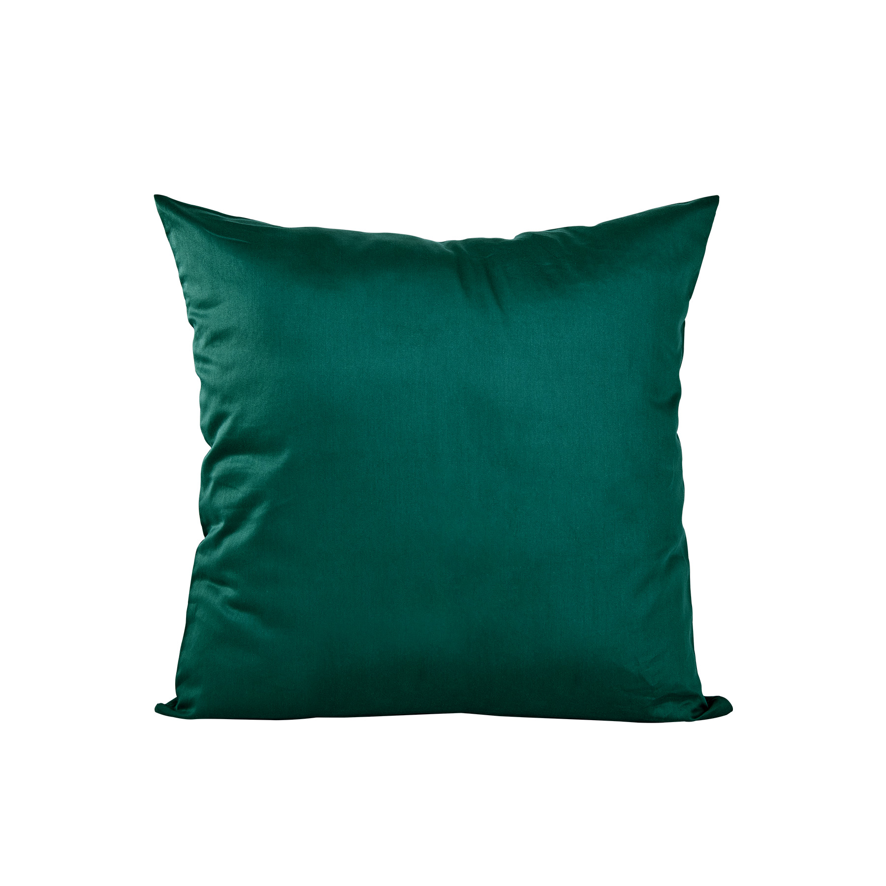 18X18 Inch Cotton Throw Pillow 3
