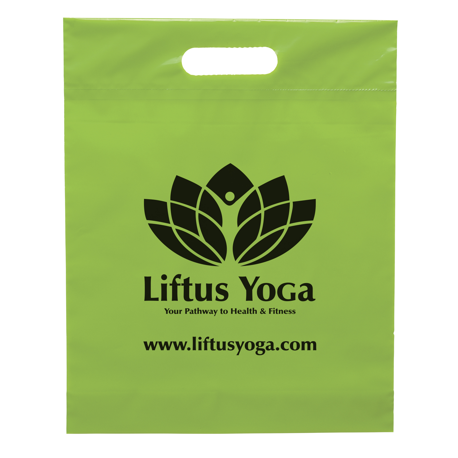 Die Cut Handle Bag - 12W x 15H x 3 - Flexo Ink Print 21