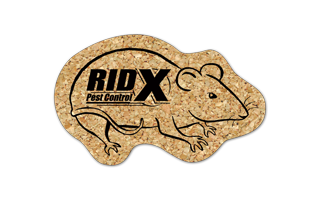 Rat/Mouse Cork Coaster 3