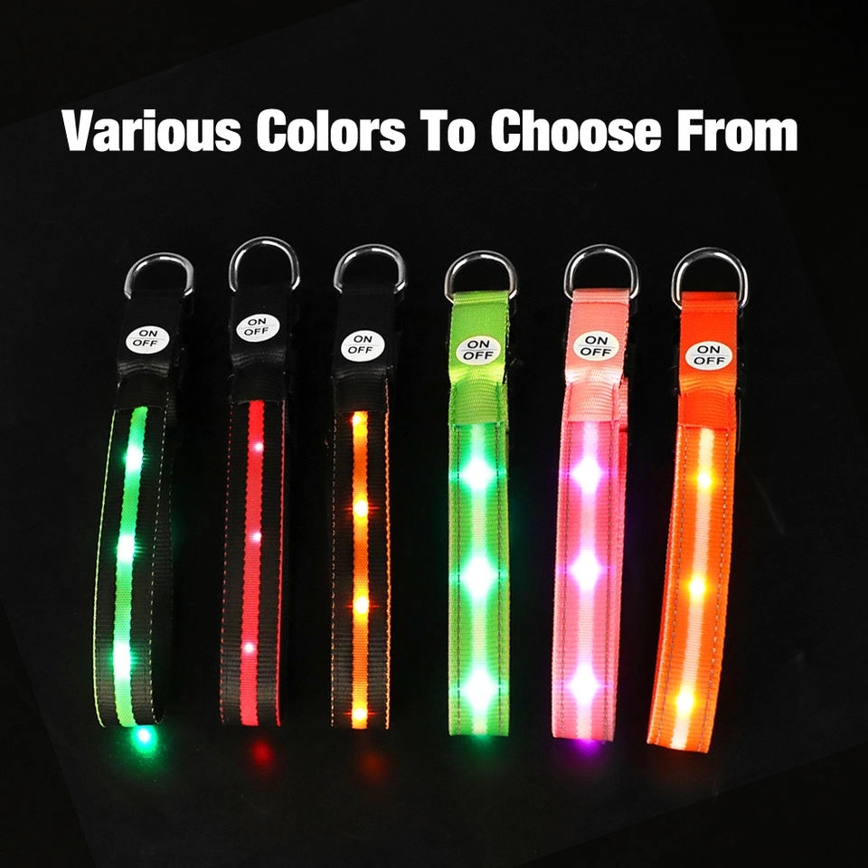 LED Light Up Dog Leash 2