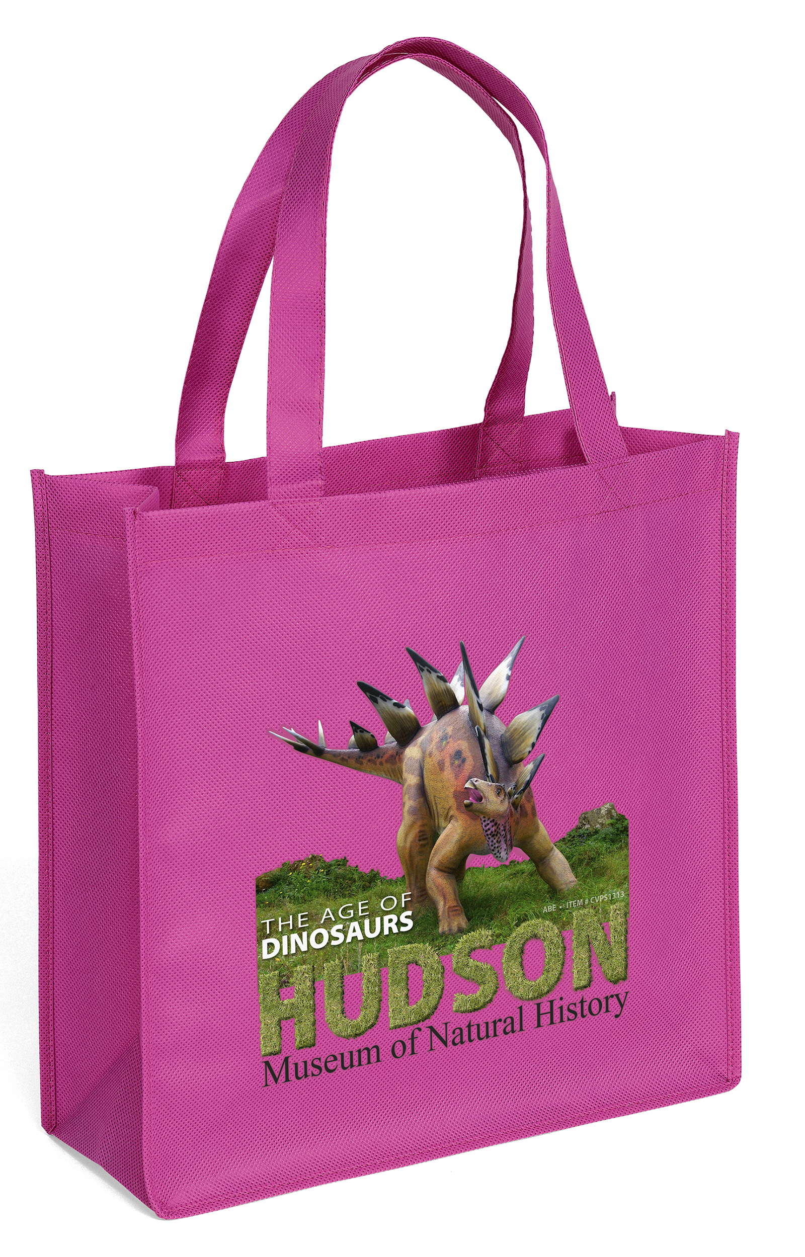 Abe - Celebration Tote Bag - ColorVista 17