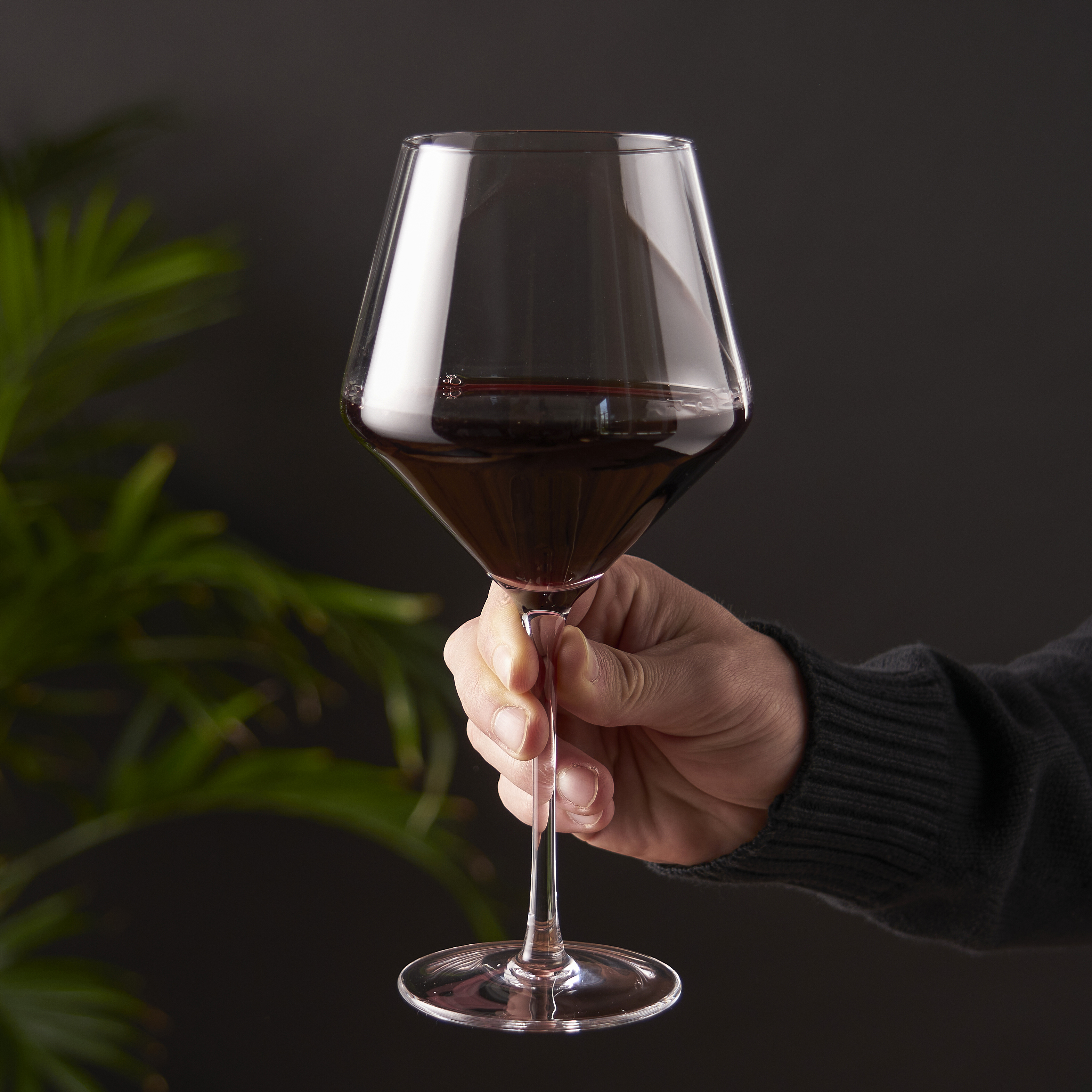 Viski® Raye Angled Crystal Burgundy Glass, set of 2 1