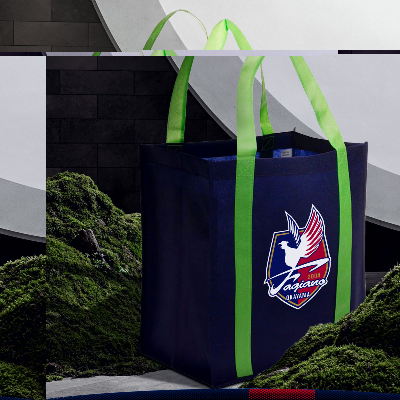 Benish Tote Bags 10