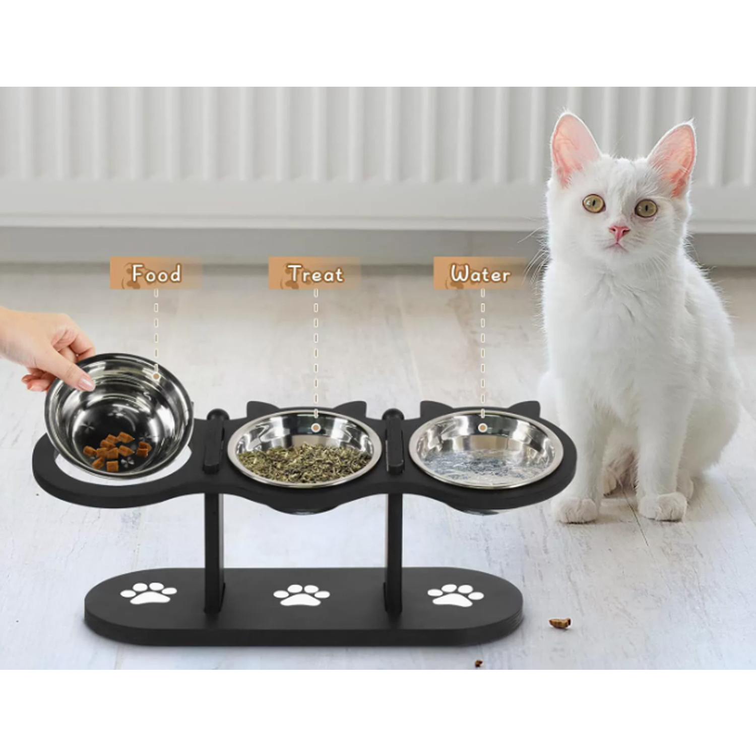 Pet Feeder 5