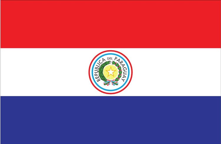 Paraguay Flag - 4' x 6' - Nylon 2