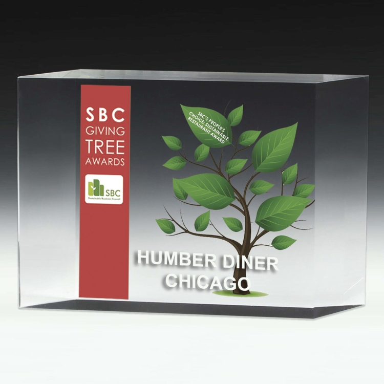 1 1/4" Thick Freestanding Acrylic Awards 5