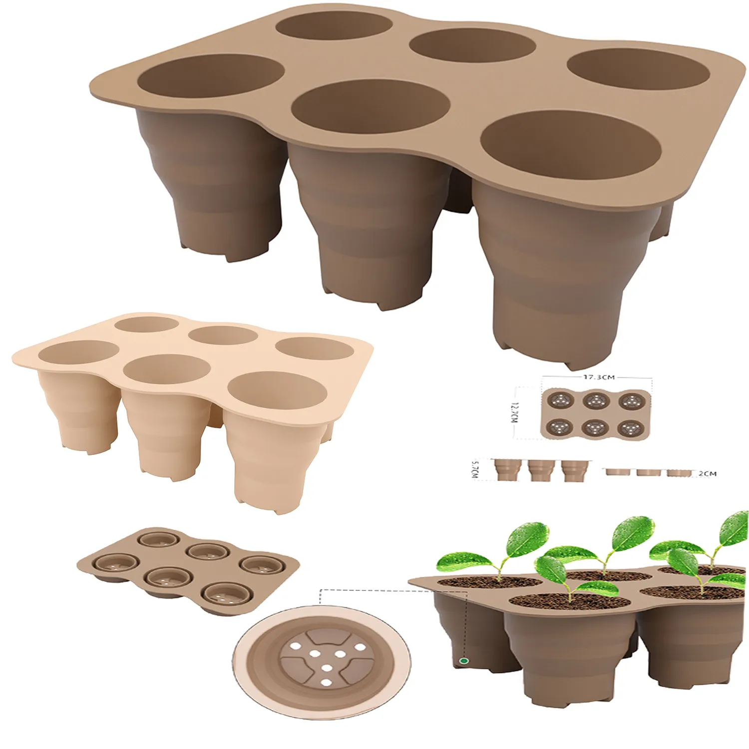 Silicone 6-Grid Seedling Box 1