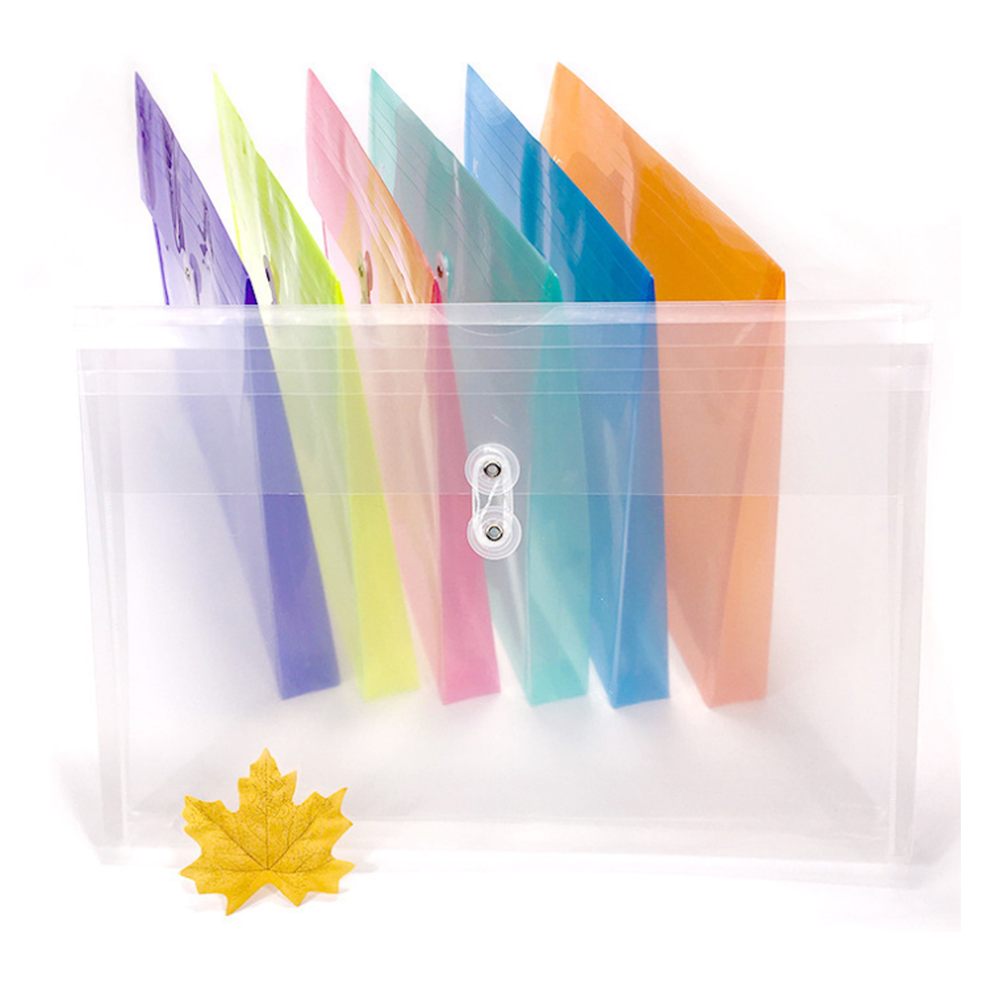 Expandable File Folder with String Closure 3