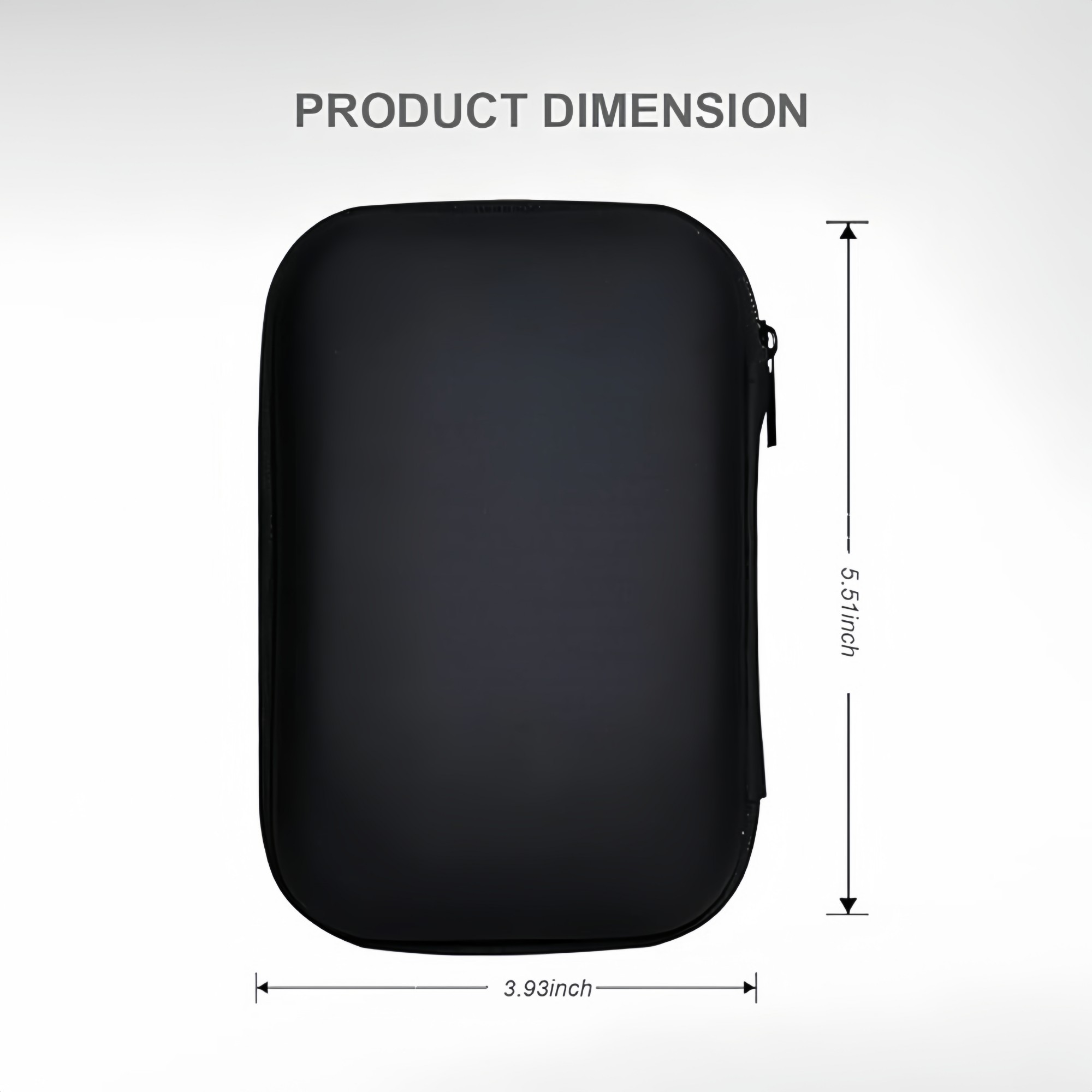 Hard Drive Carrying Case 2
