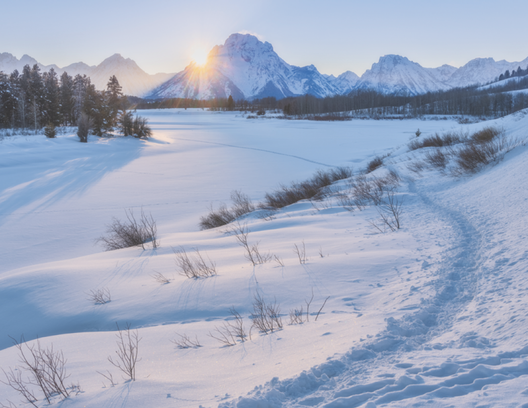 HotLine® Products Contemplations Appointment Calendar - Spiral 54