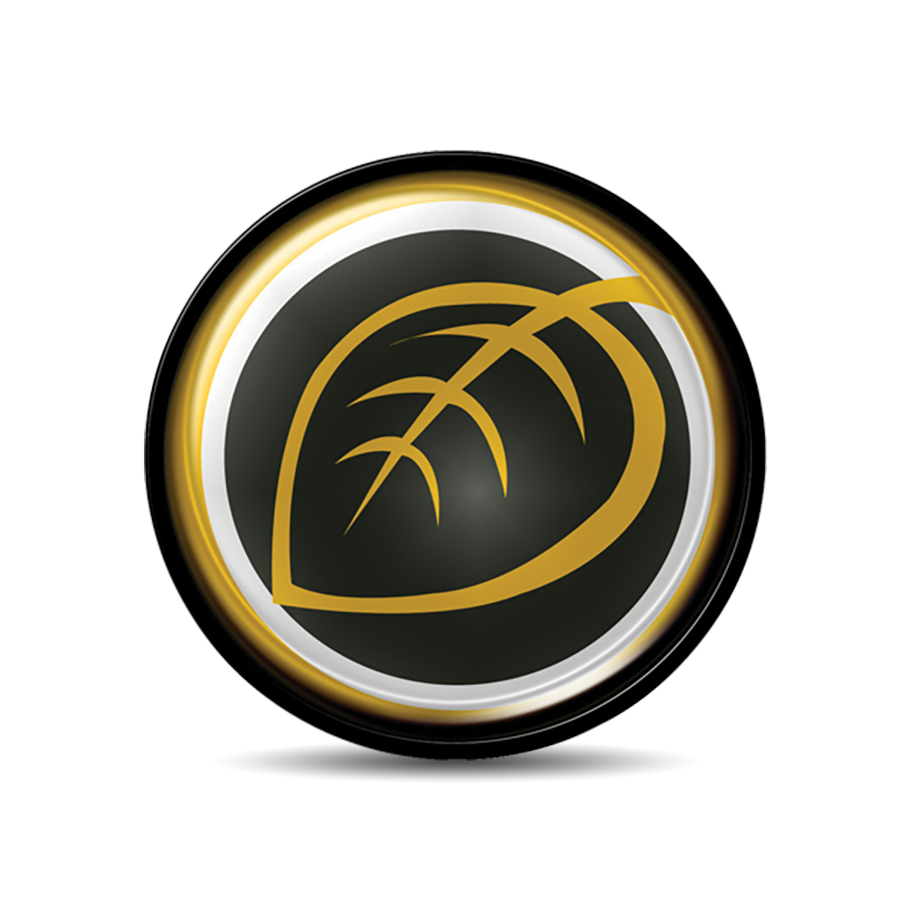 Ashland Classic Circle Pin-MADE IN USA