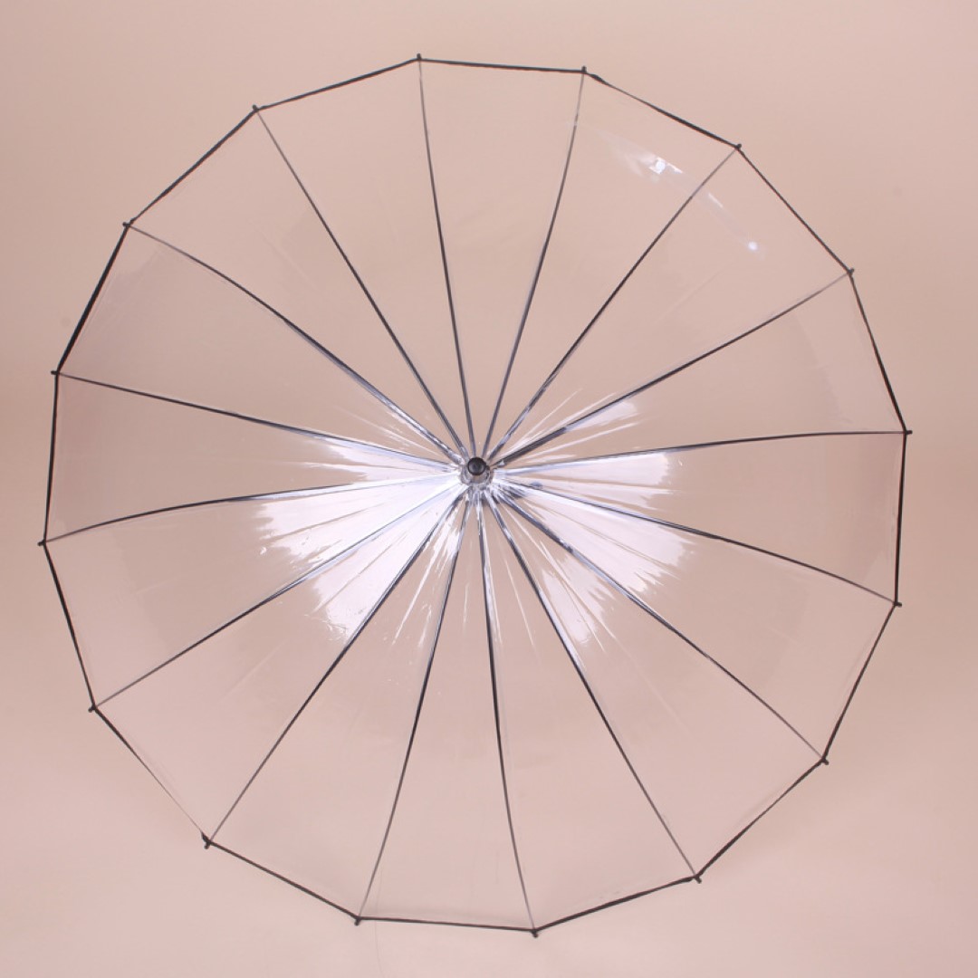 The TranWTarent Umbrella 4