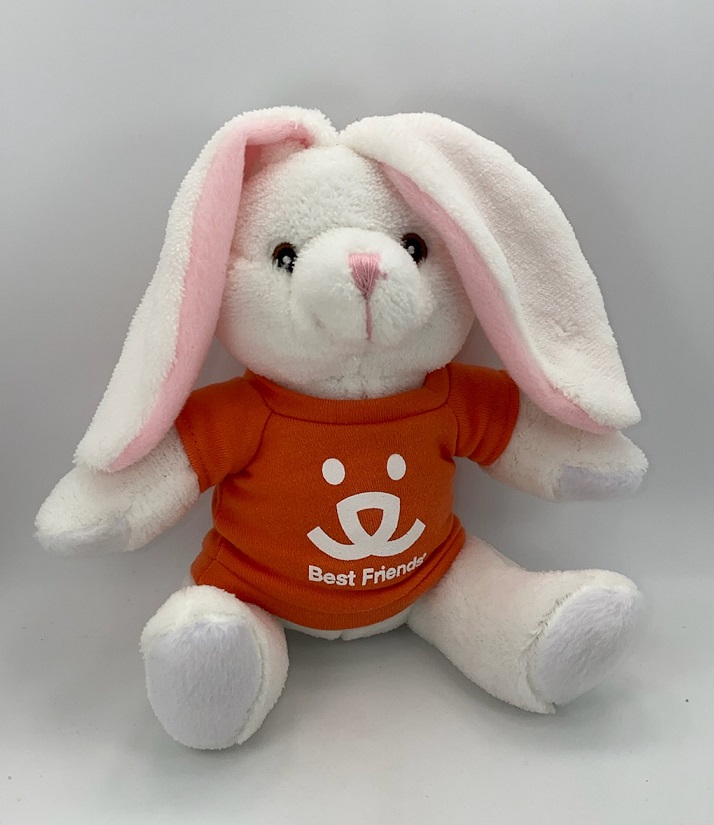 10" Extra Soft Furry Friend- White Bunny 2