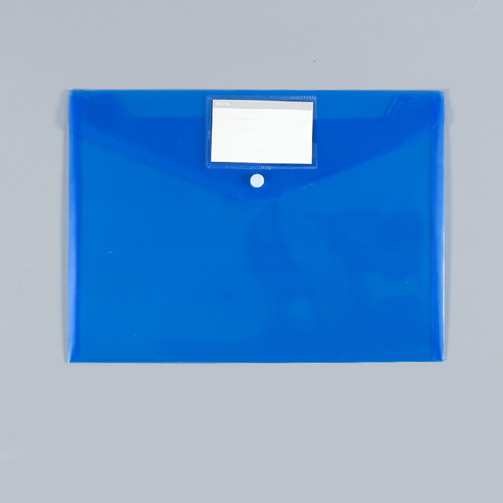 Snap Label File Bag 6